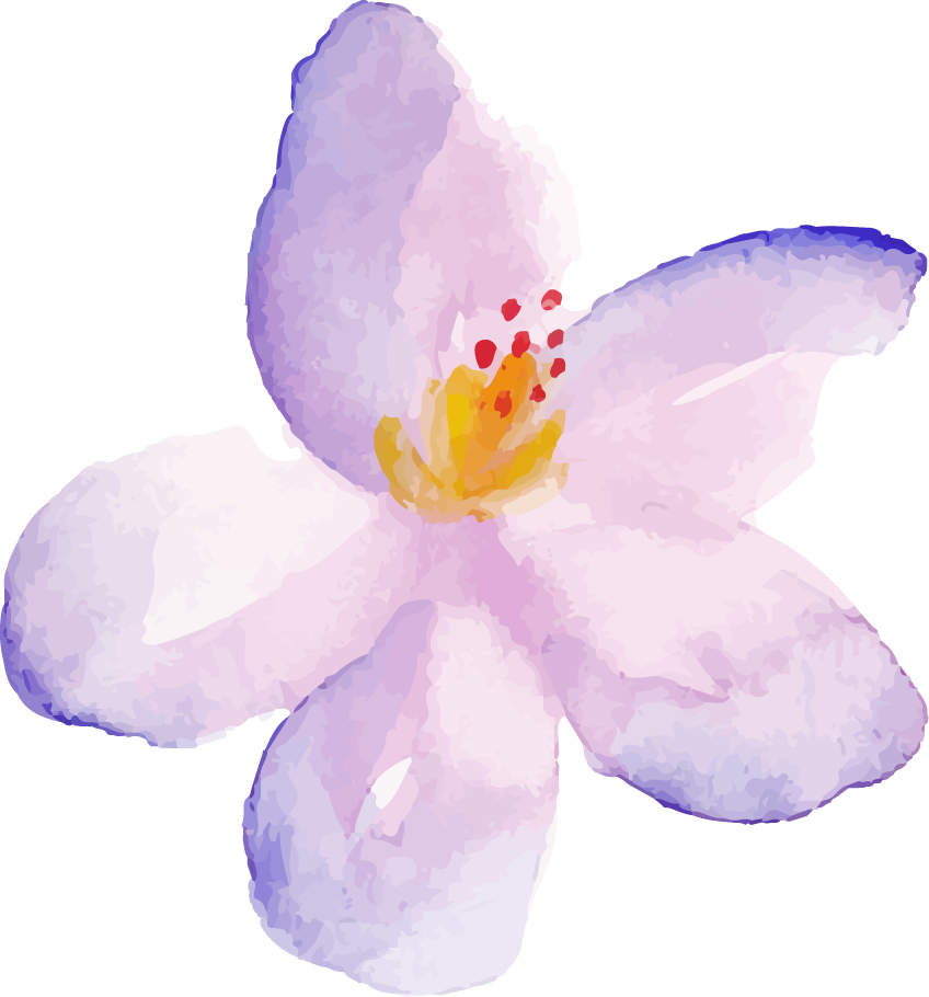 Flower and foliage 1